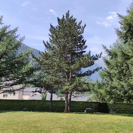 Appartement T1Bis St Lary Soulan Village Saint-Lary-Soulan Esterno foto