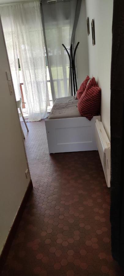 Appartement T1Bis St Lary Soulan Village Saint-Lary-Soulan Esterno foto